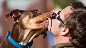 L'amore del cane fa miracoli per la salute dell'uomo