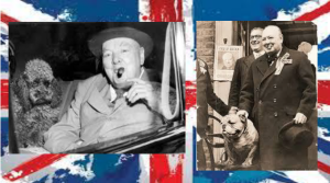 Churchill con due dei cani della sua vita