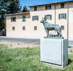 La Scuola nazionale cani guida di Scandicci, alle porte di Firenze