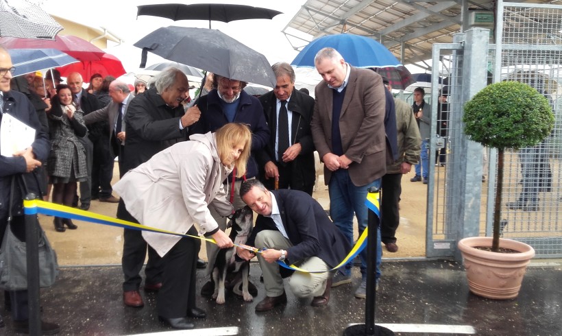 Verona inaugura il nuovo rifugio per 200 cani: tanto spazio, tecnologia e comfort per il canile del 2000