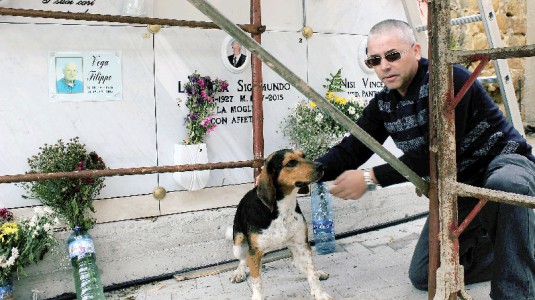 Tutti i giorni cinque chilometri per andare sulla tomba del padrone. Così un cane commuove Nicosia