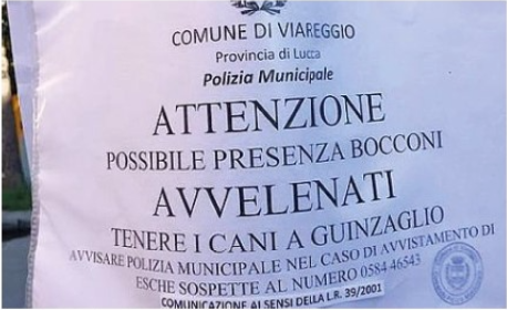 Viareggio, allarme esche avvelenate