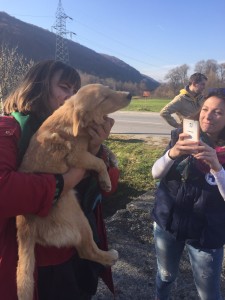 Ina con i volontari Enpa poco prima della partenza per l'Italia