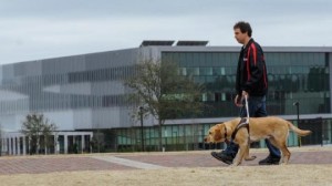 Sean Mealin a passeggio col suo cane guida Simba, con una pettorina tradizionale