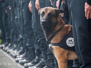 Diesel nello scatto condiviso sui social dalla polizia francese