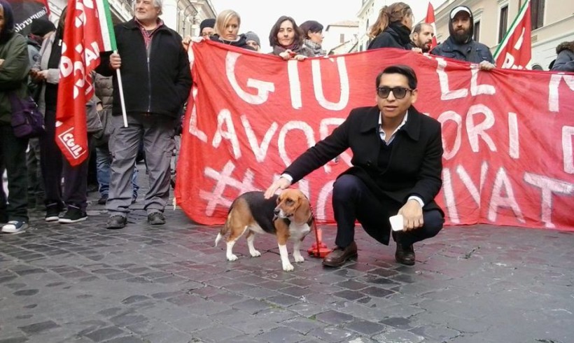 Colpo di scena a Roma: i canili sono salvi e i cani non verranno trasferiti