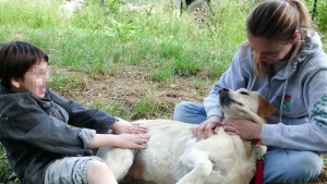 Cannella, tra i primi cani partner della dottoressa Mugnai