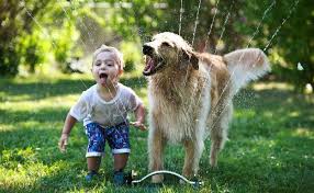 Bimbi meno ansiosi se crescono con un cane: parola di scienziati