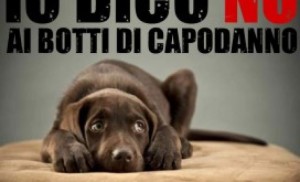 croppedimage701426-Animal-Amnesty-contro-i-botti-di-capodanno-272x240