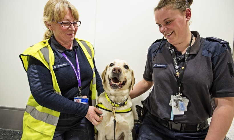 Adotta uno sniffer dog e salva le specie selvatiche: è #diamovoce, la campagna di Natale targata Wwf