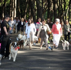 Montecatini, allarme esche avvelenate nel parco termale. Muore un cucciolo