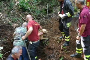 La liberazione del cane rimasto bloccato nella tana di un istrice a settembre 2014, sempre nel Senese