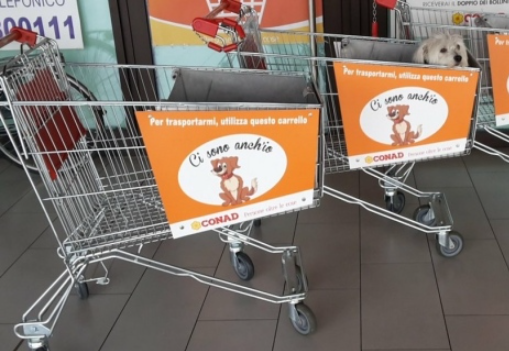 Mettete dei cani nei vostri carrelli! Appello ai supermercati per aprire ai pet