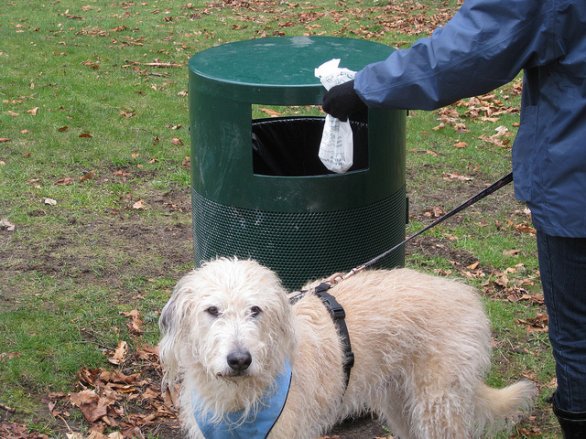 Trento rileva il dna della pupù di Fido, e il proprietario ‘pesta’ la multa