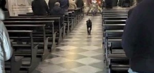 Leo in chiesa, due mesi fa, durante i funerali del suo amico umano