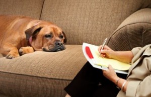 Anche il cane può dover ricorrere al lettino dello psicologo. E spesso il suo problema siamo noi