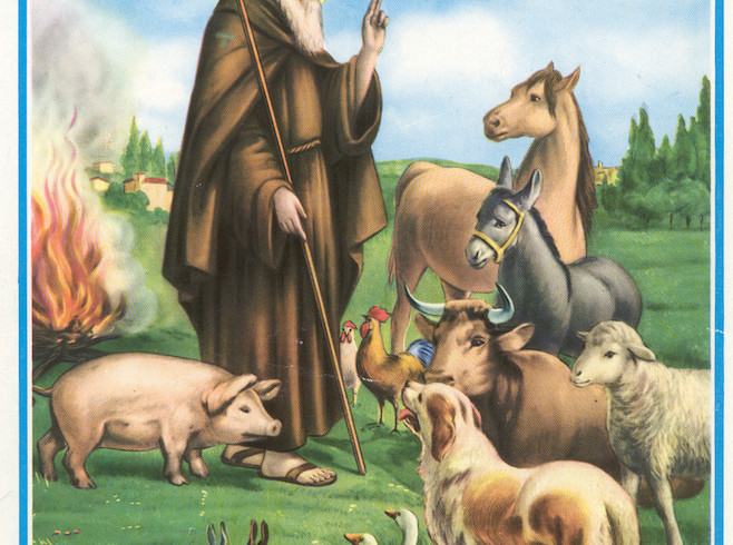 Sant’Antonio Abate è il protettore degli animali domestici: ecco perché