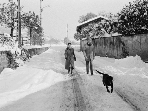 Giscard D'Estaing a spasso si lascia precedere dal suo cane