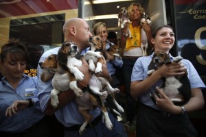 Alcuni dei cuccioli dopo la liberazione