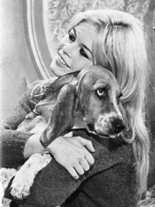 Brigitte Bardot è da sempre dalla parte dei cani e degli altri animali