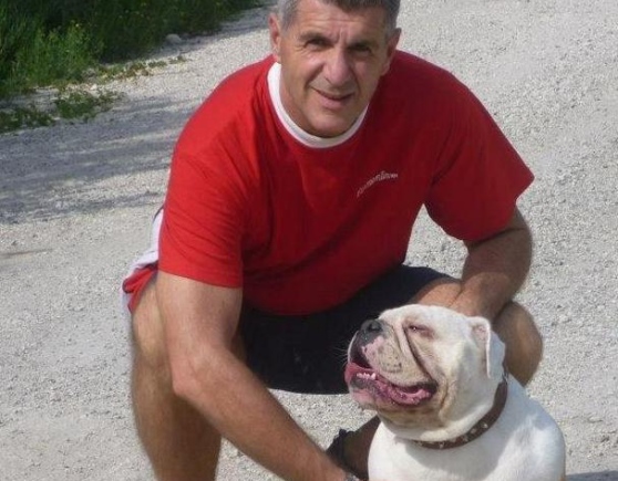 Bulldog al guinzaglio in municipio: multa al proprietario