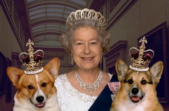 Lutto per la Regina, scomparsa l’ultima corgie di Buckingham Palace