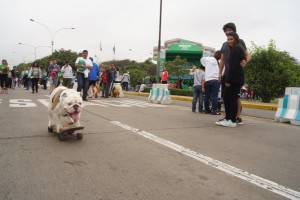 Otto durante gli allenamenti su strada