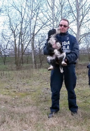 Il cucciolo Rocco scappa da casa per salvare papà Biagio