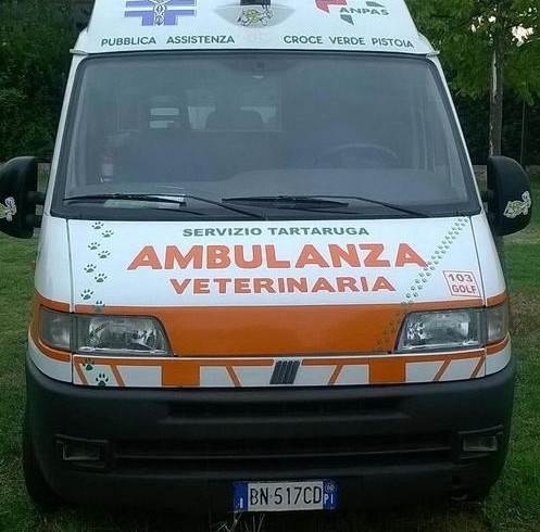 In soccorso dei quattro zampe guidando la Tartaruga: corso gratuito per volontari a Pistoia