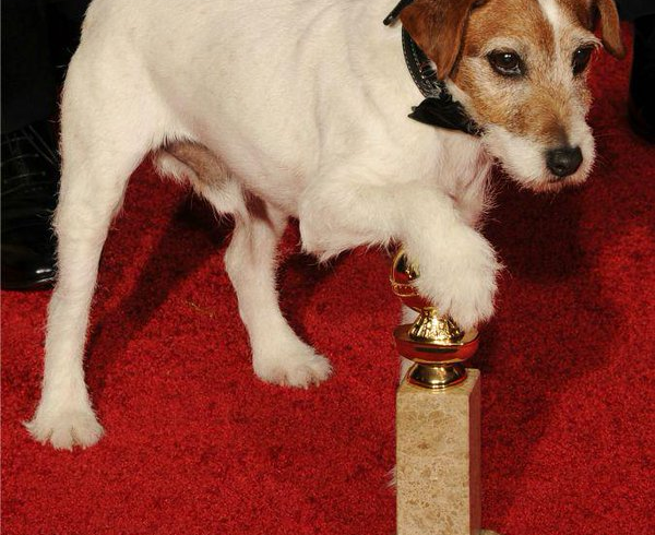 Dal red carpet al tappeto del salotto: il tuo cane è differente. A Monza Enpa spiega perché