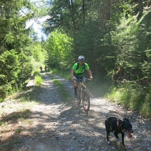 Il bikejoring in Italia è ancora poco diffuso