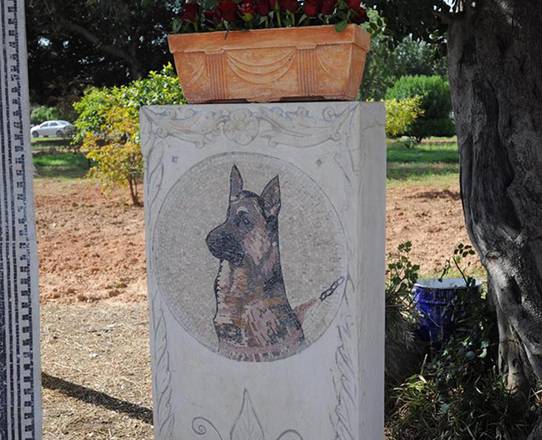 Tunisi, un mosaico per il cane poliziotto Akil al Museo del Bardo