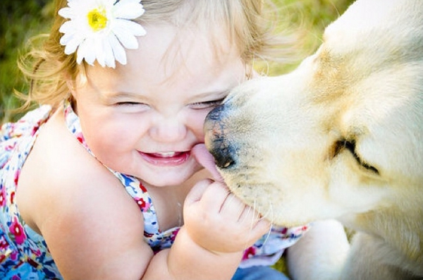 I cani nello stato di famiglia: proposta di legge FareAmbiente