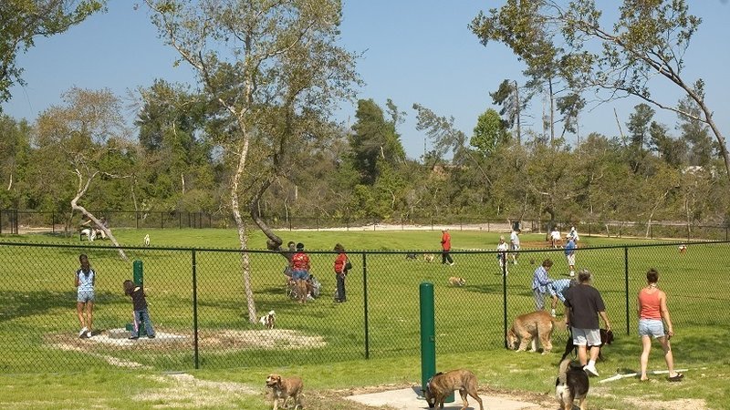 Ponzano vuole un parco giochi per i cani. E qualazampa.news firma la PET…izione