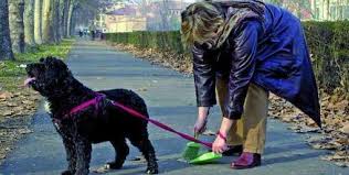 Scippa una vecchietta, ma in borsa c’è solo la cacca del cane