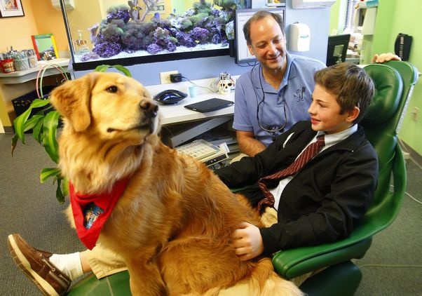 Specialisti in allegria, così alle Molinette i cani aiutano i bambini dal dentista