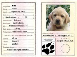 Anagrafe canina 2.0: a Carpi l’innovazione è realtà