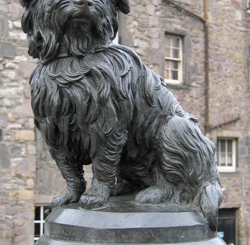 Bobby il cucciolo di Edimburgo: statua, romanzo e film per raccontare fedeltà e amore