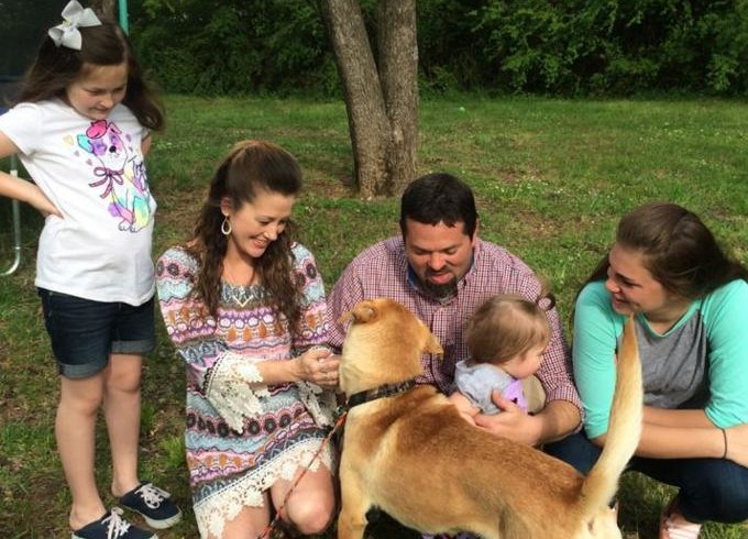 Visitano il canile e ci trovano il cane perduto due anni prima