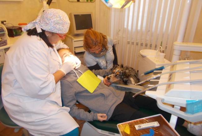 Col cane passa tutto, anche la paura del dentista con Odontopet