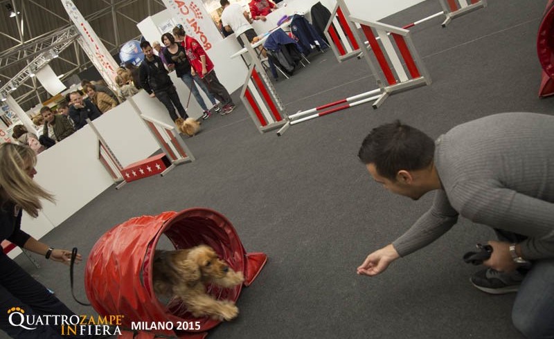 Tappa milanese per QuattroZampeInFiera: fine settimana di eventi per tutte code al Parco Novegro