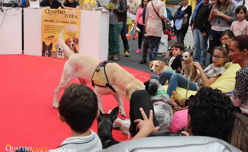 Mondo pet, torna Quattro Zampe in Fiera. Prima tappa a Padova