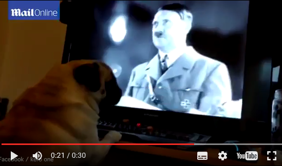 Insegna al cane il saluto nazista e posta il video sul blog: spedito a processo