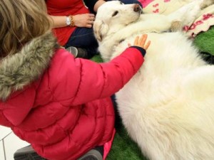 cane bambini pet therapy