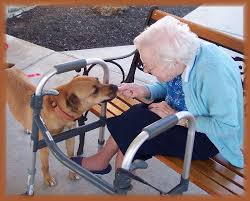 cane e anziana