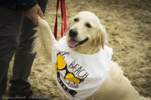 Nel giorno della presentazione questo cane sembra complimentarsi