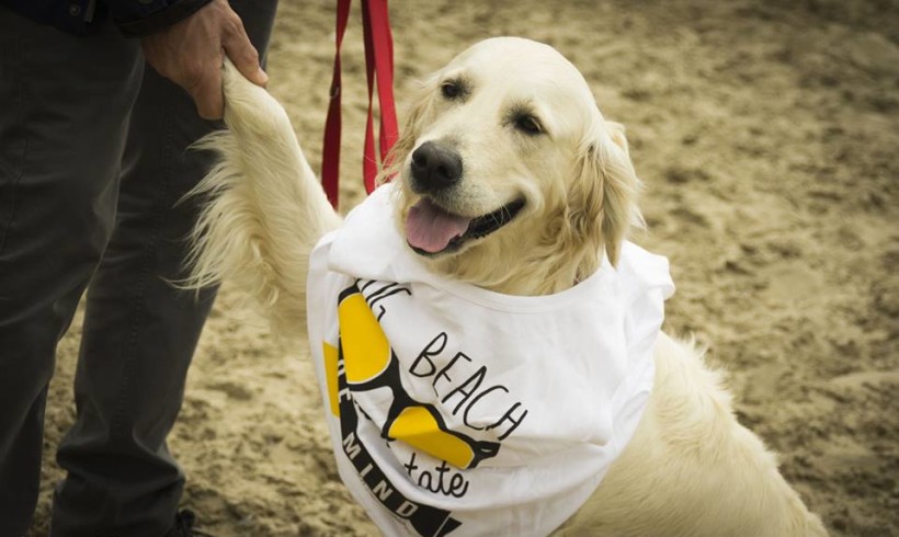 A San Vincenzo il mare fa “bau”: arriva il progetto per un’estate (ma non solo) pet friendly