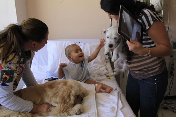 Al Gaslini di Genova i cani fanno visita ai bambini. L’iniziativa si chiama come noi: “Qua la Zampa”