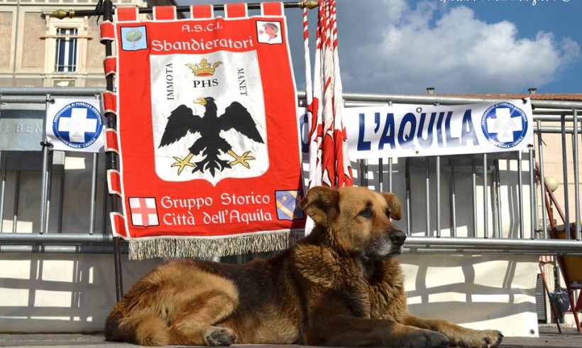 Si è spento Pluto, il cane simbolo del post terremoto a L’Aquila