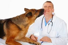 Vaccinazioni e salute del cane: i veterinari vanno in tournée. Una settimana on the road in 6 città italiane